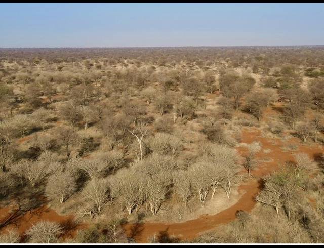 FARM FOR SALE IN SENTRUM